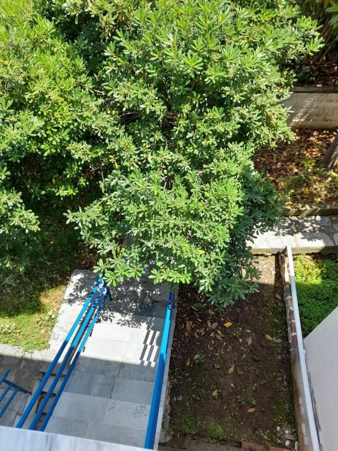 Maisonette Basilissa ネア・ポティダイア エクステリア 写真